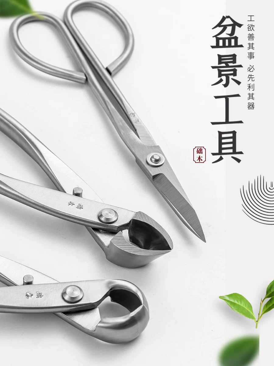 Bonsai Garden Rake - Juego de Herramientas para Bonsái (3