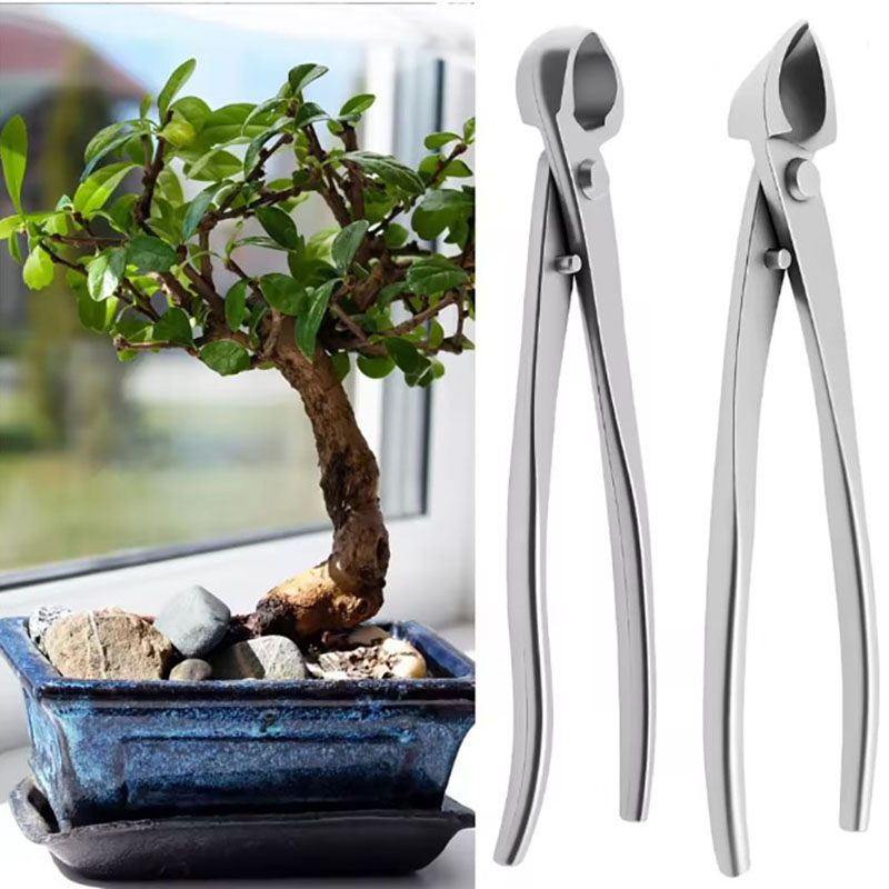 Bonsai Garden Rake - Juego de herramientas para bonsái de