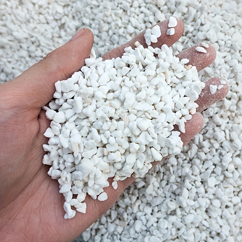 Horticulture Soil Perlite - Paquete de 1 Perlita Hortícola de