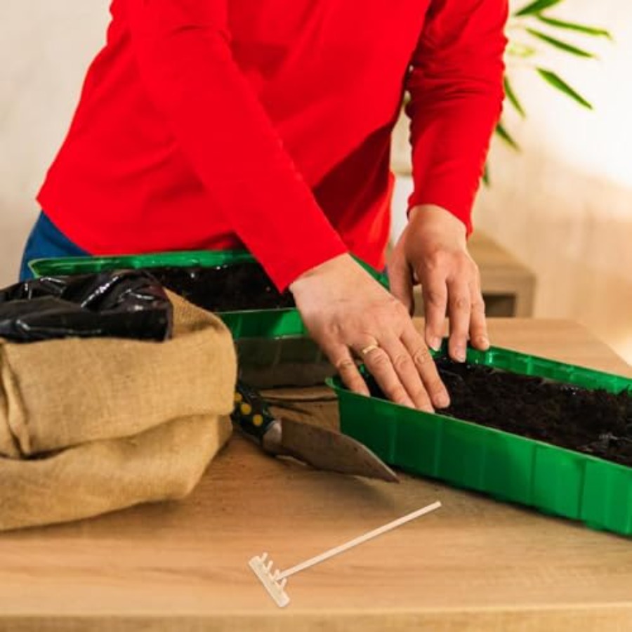 Juego de 4 Mini Rastrillos de  - Mini Bonsai Zen Garden reseña y precio