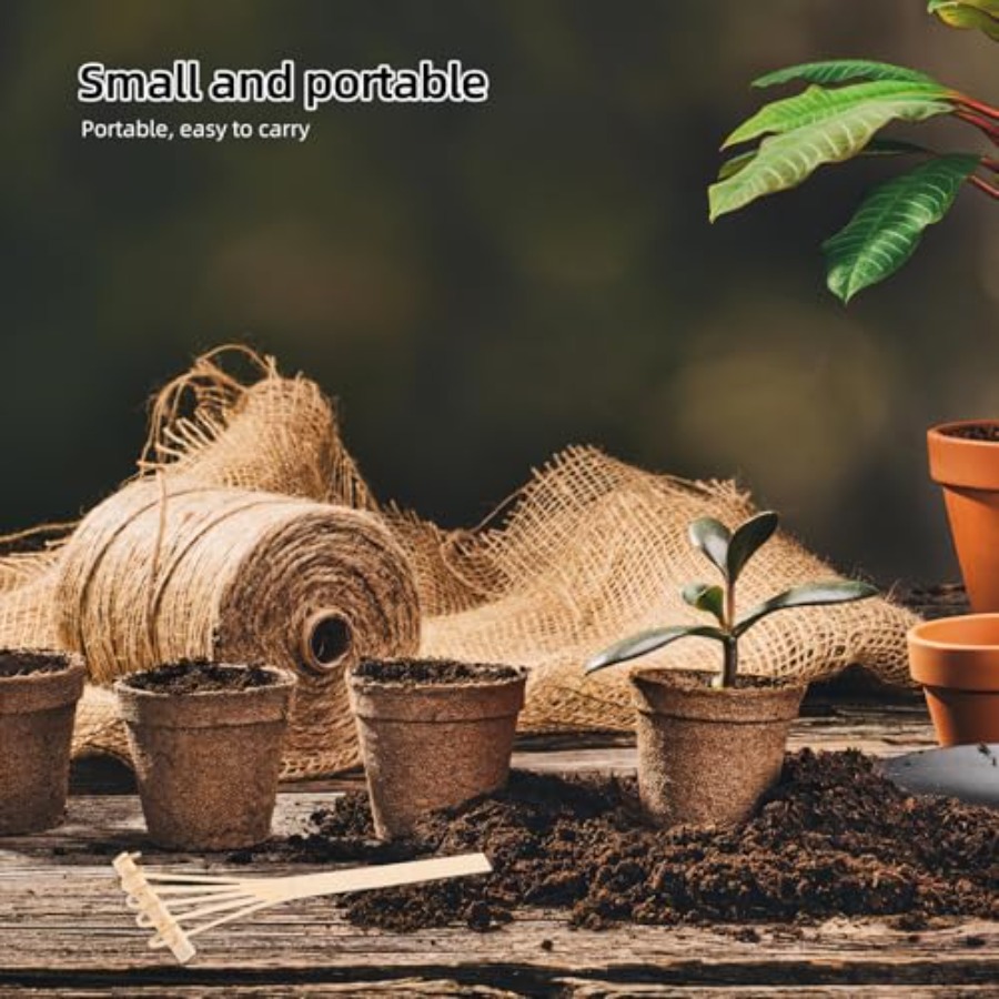 Juego de 4 Mini Rastrillos de  - Mini Bonsai Zen Garden reseña y precio