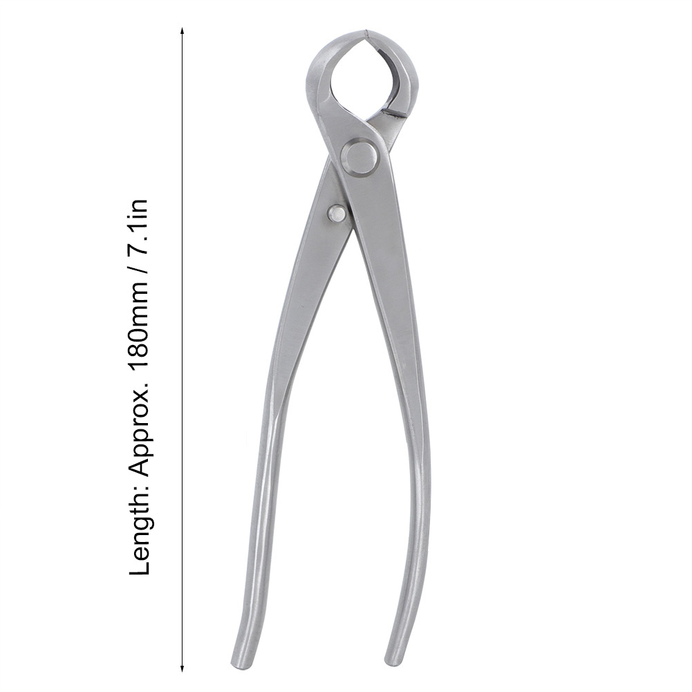 Tijeras de podar con punta cón - Bonsai Garden Rake reseña y precio