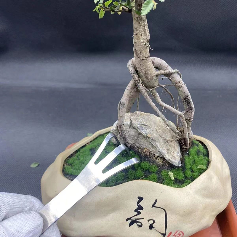 Rastrillo de raíz de acero ino - Bonsai Garden Rake reseña y precio