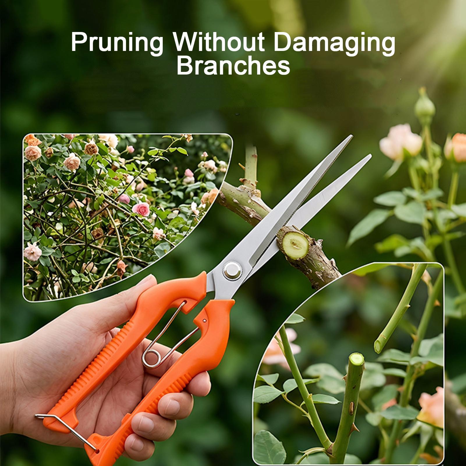 Tijeras de Podar, Tijeras para - Bonsai Garden Rake reseña y precio