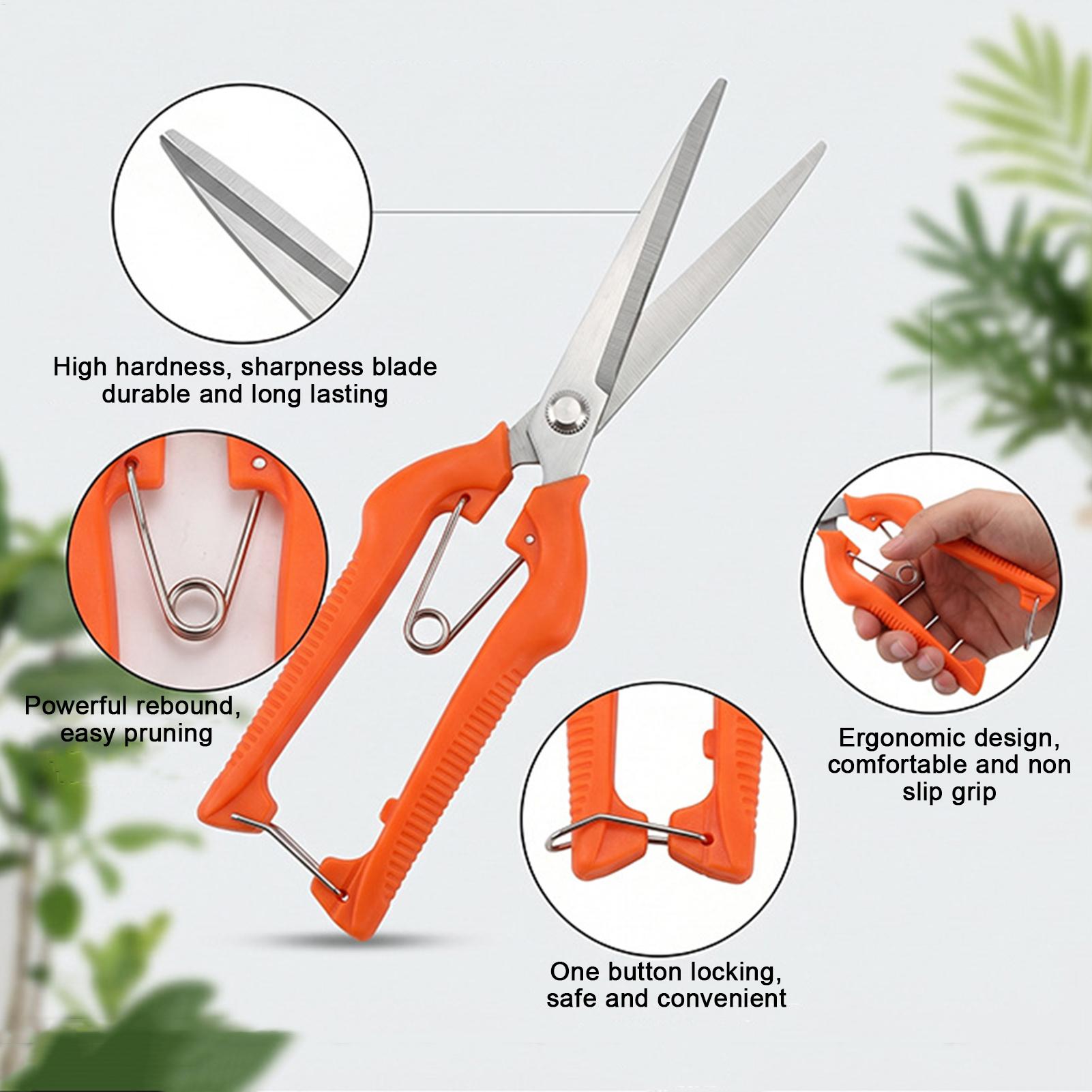 Tijeras de Podar, Tijeras para - Bonsai Garden Rake reseña y precio