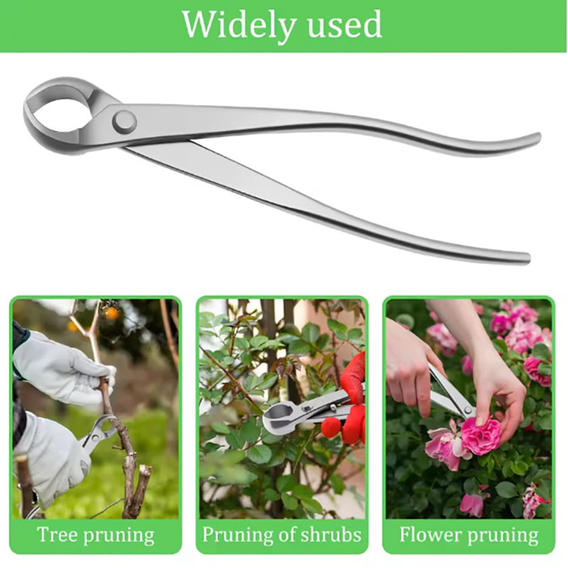 Juego de herramientas para bon - Bonsai Garden Rake reseña y precio